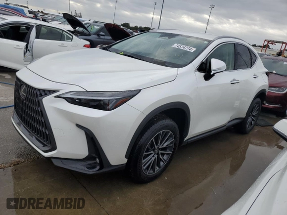 2023 Lexus NX 250 with VIN JTJADCAZ5P2006346, listed as a Copart auction lot 74574774 with Not provided miles and Salvage title. Bid and sale history available at DreamBid. Image 1.