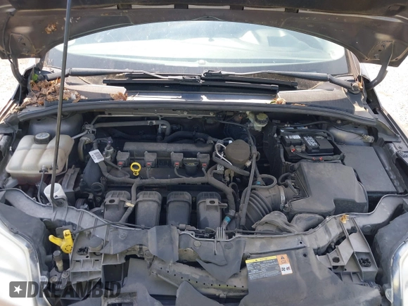 2013 Ford Focus SE with VIN 1FADP3F28DL233822, listed as a IAAI auction lot 42583041 with 135,728 mi miles and . Bid and sale history available at DreamBid. Image 10.