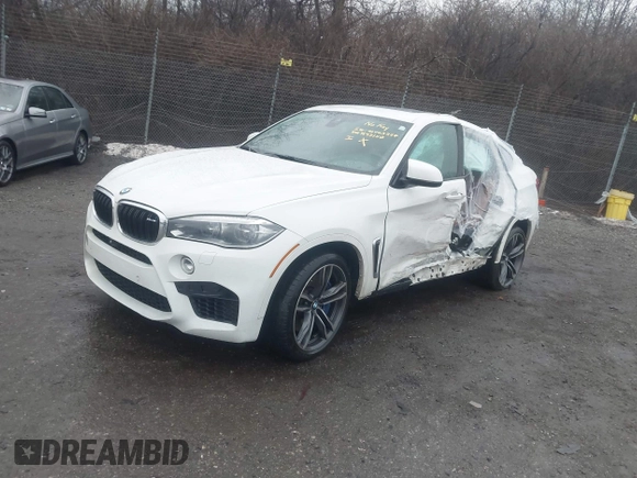 2016 BMW X6 M with VIN 5YMKW8C50G0R43150, listed as a IAAI auction lot 41463258 with 81,202 mi miles. Bid and sale history available at carsss.com. Image 2.