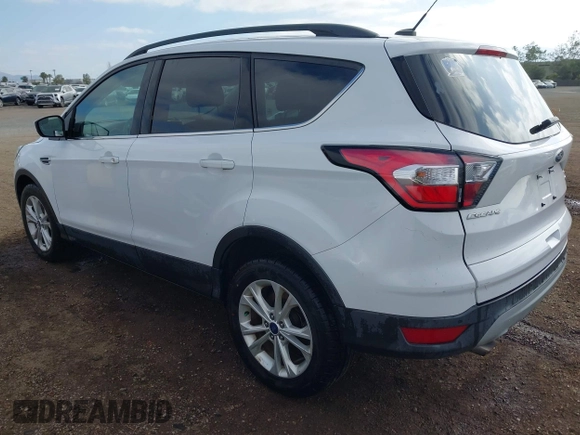 2017 Ford Escape SE with VIN 1FMCU9GD3HUD95726, listed as a IAAI auction lot 42121586 with 96,048 mi miles. Bid and sale history available at carsss.com. Image 3.