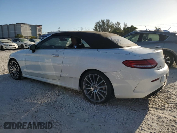 2019 Mercedes-Benz C 300 with VIN WDDWK8DB3KF861175, listed as a Copart auction lot 48482095 with 53,370 mi miles and Salvage Title. Bid and sale history available at carsss.com. Image 2.