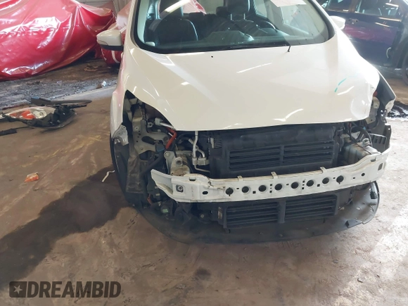 2016 Ford C-Max SEL with VIN 1FADP5CU2GL110832, listed as a IAAI auction lot 41764729 with 119,724 mi miles and . Bid and sale history available at DreamBid. Image 19.