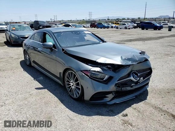 2019 Mercedes-Benz CLS 450 with VIN WDD2J5JB9KA027171, listed as a Copart auction lot 60758935 with 64,287 mi miles and Salvage title. Bid and sale history available at DreamBid. Image 14.