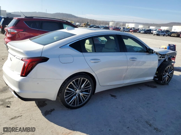 2024 Cadillac CT5 Premium Luxury with VIN 1G6DN5RK1R0114089, listed as a Copart auction lot 39209984 with 9 mi miles and Salvage Title. Bid and sale history available at carsss.com. Image 3.