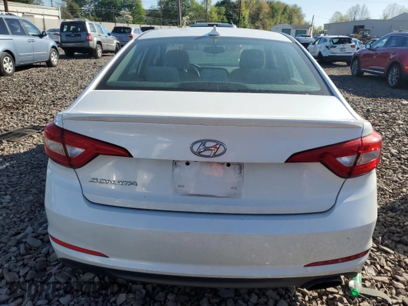 2016 Hyundai Sonata SE with VIN 5NPE24AF1GH359168, listed as a Copart auction lot 54137245 with Not Provided miles and Salvage Title. Bid and sale history available at carsss.com. Image 6.
