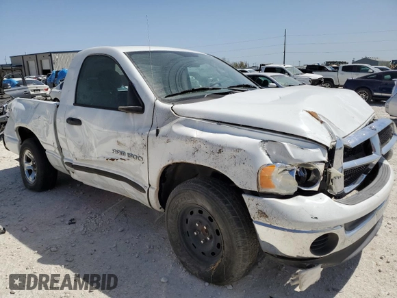 2005 Dodge 1500 SLT with VIN 1D7HA16N05J537953, listed as a Copart auction lot 49049175 with 132,243 mi miles and Salvage Title. Bid and sale history available at carsss.com. Image 4.