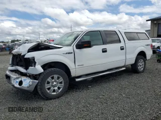 2011 Ford F-150 XLT with VIN 1FTFW1ET7BFA63209, listed as a Copart auction lot 57361325 with 135,245 mi miles and Salvage title. Bid and sale history available at DreamBid. Image 1.