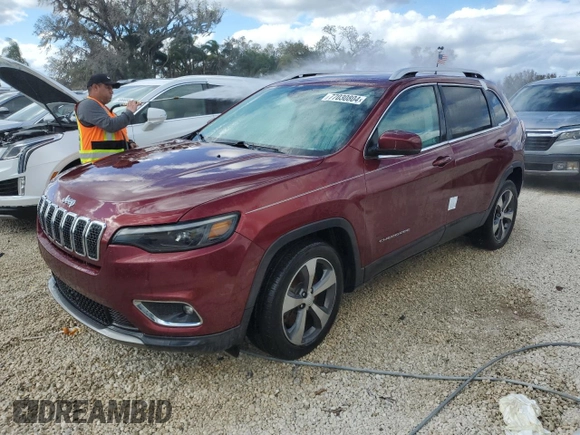 2019 Jeep Cherokee Limited with VIN 1C4PJLDN5KD325726, listed as a Copart auction lot 77030804 with Not Provided miles and Non Repairable. Bid and sale history available at DreamBid. Image 1.