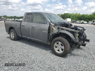 2009 Dodge 1500 SLT with VIN 1D3HB18P59S801519, listed as a Copart auction lot 55323755 with Not Provided miles and Clean Title. Bid and sale history available at carsss.com. Image 4.