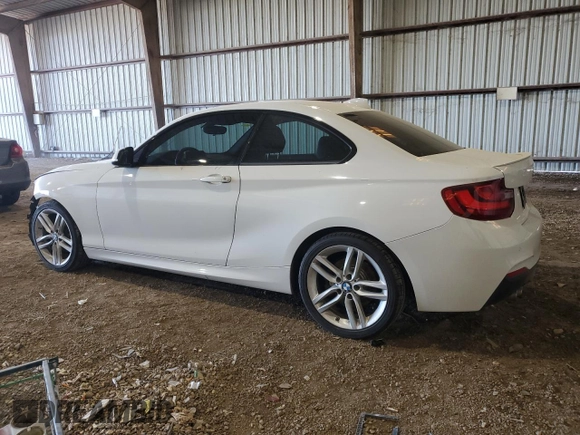2016 BMW 2 Series 228i with VIN WBA1F9C58GV545002, listed as a Copart auction lot 42129794 with 110,846 mi miles. Bid and sale history available at carsss.com. Image 2.