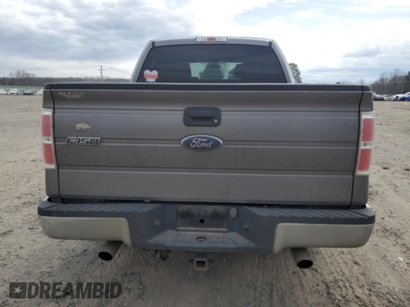 2010 Ford F-150 XL with VIN 1FTEW1C89AFA68212, listed as a Copart auction lot 47641185 with 313,339 mi miles and Clean Title. Bid and sale history available at carsss.com. Image 6.