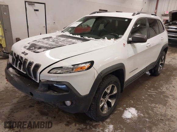 2014 Jeep Cherokee Trailhawk with VIN 1C4PJMBS5EW159912, listed as a IAAI auction lot 41538254 with 166,955 mi miles. Bid and sale history available at carsss.com. Image 17.