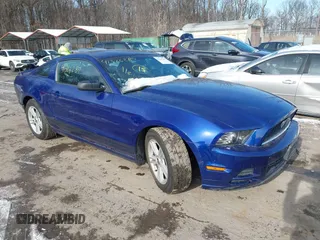 2013 Ford Mustang V6 with VIN 1ZVBP8AM9D5240688, listed as a IAAI auction lot 41366287 with 177,567 mi miles. Bid and sale history available at carsss.com. Image 1.