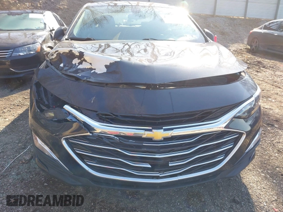 2022 Chevrolet Malibu LS with VIN 1G1ZB5ST6NF212064, listed as a IAAI auction lot 41991951 with 31,907 mi miles and . Bid and sale history available at DreamBid. Image 12.