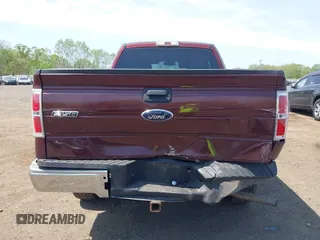 2010 Ford F-150 XL with VIN 1FTEX1E84AFC33271, listed as a IAAI auction lot 42161569 with 134,654 mi miles and . Bid and sale history available at DreamBid. Image 18.