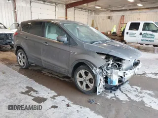 2014 Ford Escape SE с VIN 1FMCU0GX6EUD60809, выставлен на аукционе IAAI как лот 41661568 с пробегом 213 964 миль миль и . История ставок и продаж доступна на DreamBid. Изображение 1.