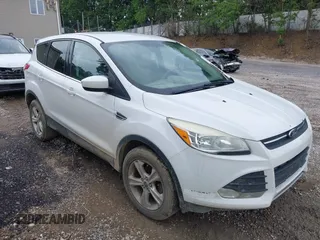 2014 Ford Escape SE with VIN 1FMCU9G91EUD95568, listed as a IAAI auction lot 42633469 with 233,762 mi miles and . Bid and sale history available at DreamBid. Image 1.