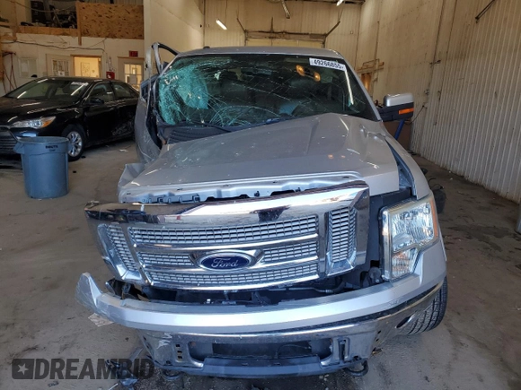 2010 Ford F-150 XL with VIN 1FTFW1EV4AFB97949, listed as a Copart auction lot 49266855 with 0 mi miles and Salvage Title. Bid and sale history available at carsss.com. Image 5.