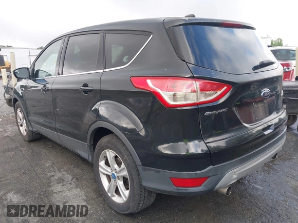 2013 Ford Escape SE with VIN 1FMCU0GX4DUA95161, listed as a IAAI auction lot 42393874 with 190,390 mi miles and . Bid and sale history available at DreamBid. Image 3.