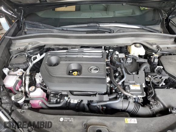 2025 Lexus UX 300h with VIN JTHUCJDH7S2003370, listed as a Copart auction lot 61748695 with 15,830 mi miles and Salvage title. Bid and sale history available at DreamBid. Image 11.
