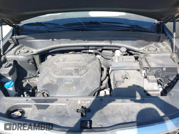 2021 Kia Telluride EX with VIN 5XYP3DHC9MG113716, listed as a IAAI auction lot 42200746 with 60,507 mi miles and . Bid and sale history available at DreamBid. Image 10.
