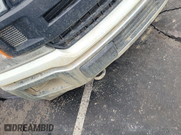 2019 Ford F-150 XL with VIN 1FTEX1E55KKC02870, listed as a IAAI auction lot 42631387 with 206,967 mi miles and . Bid and sale history available at DreamBid. Image 15.