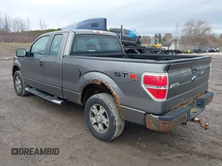 2010 Ford F-150 XL with VIN 1FTEX1E82AFA32002, listed as a IAAI auction lot 41874430 with 264,658 mi miles. Bid and sale history available at carsss.com. Image 3.