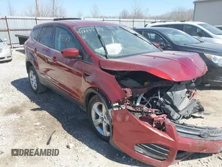 2015 Ford Escape SE with VIN 1FMCU0G71FUC87446, listed as a IAAI auction lot 41814589 with 137,051 mi miles. Bid and sale history available at carsss.com. Image 1.