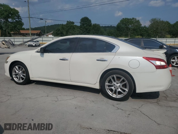 2011 Nissan Maxima SV with VIN 1N4AA5AP6BC806085, listed as a Copart auction lot 59541205 with 129,367 mi miles and Salvage title. Bid and sale history available at DreamBid. Image 2.
