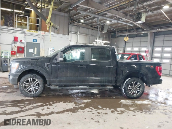 2021 Ford F-150 XL with VIN 1FTFW1E56MFC60361, listed as a IAAI auction lot 41567363 with 31,092 mi miles and . Bid and sale history available at DreamBid. Image 14.