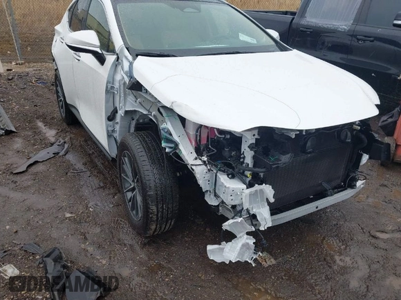 2025 Lexus NX with VIN 2T2HKCEZ3SC043032, listed as a IAAI auction lot 41704791 with 1,135 mi miles. Bid and sale history available at carsss.com. Image 1.