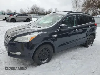 2013 Ford Escape SE with VIN 1FMCU9G94DUC89551, listed as a Copart auction lot 42005035 with 244,906 mi miles and Clean Title. Bid and sale history available at carsss.com. Image 1.