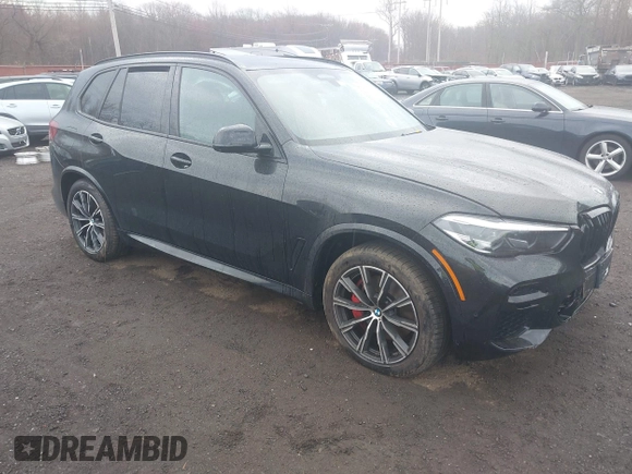 2023 BMW X5 xDrive40i with VIN 5UXCR6C01P9S01895, listed as a IAAI auction lot 41905192 with 33,326 mi miles and . Bid and sale history available at DreamBid. Image 1.