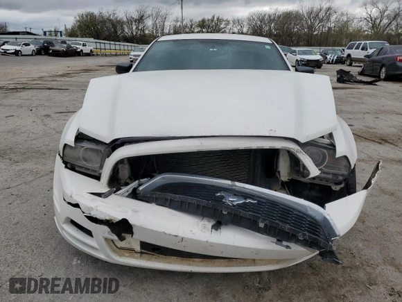 2013 Ford Mustang V6 with VIN 1ZVBP8AM4D5262212, listed as a Copart auction lot 51121685 with Not Provided miles and Salvage Title. Bid and sale history available at carsss.com. Image 5.