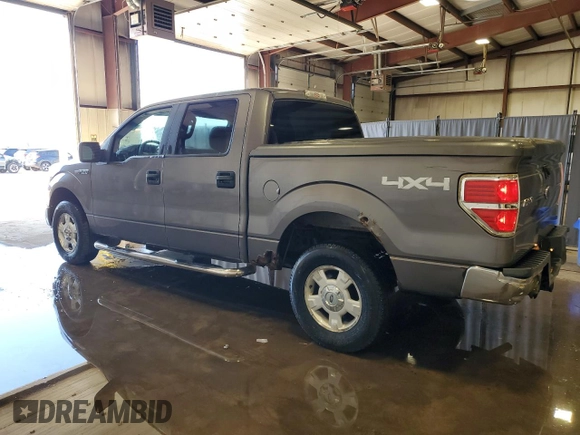 2009 Ford F-150 XL with VIN 1FTRW14879FB39001, listed as a Copart auction lot 53269955 with 123,871 mi miles and Clean Title. Bid and sale history available at carsss.com. Image 2.