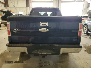 2011 Ford F-150 XLT with VIN 1FTFW1ET0BFC87020, listed as a Copart auction lot 58845915 with 137,315 mi miles and Clean title. Bid and sale history available at DreamBid. Image 6.