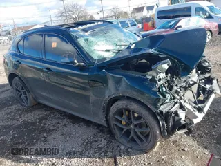 2019 Alfa Romeo Stelvio z VIN ZASPAKAN4K7C40834, wystawiony jako IAAI lot #40954464 z przebiegiem 68 213 mil mil oraz . Historia ofert i sprzedaży dostępna na DreamBid. Obrazek 1.
