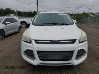 2014 Ford Escape SE with VIN 1FMCU9GX8EUC01083, listed as a Copart auction lot 54716365 with 50,487 mi miles and Clean Title. Bid and sale history available at DreamBid. Image 5.