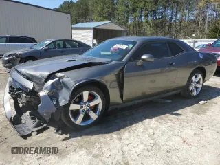 2009 Dodge Challenger R/T z VIN 2B3LJ54T49H510065, wystawiony jako Copart lot #53276745 z przebiegiem 82 965 mil mil oraz Szkoda całkowita • Salvage title. Historia ofert i sprzedaży dostępna na DreamBid. Obrazek 1.