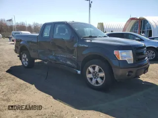 2014 Ford F-150 XL with VIN 1FTFX1EF1EFA81359, listed as a Copart auction lot 53727195 with 199,059 mi miles and Salvage Title. Bid and sale history available at DreamBid. Image 4.