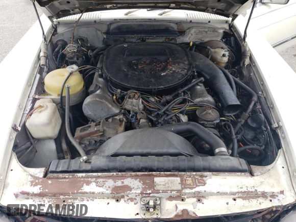 1975 Mercedes-Benz S с VIN 10704412044915, выставлен на аукционе Copart как лот 55523845 с пробегом 147 301 миль миль и Чистый • Clean title. История ставок и продаж доступна на DreamBid. Изображение 11.