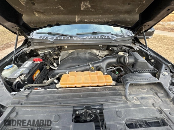 2015 Ford F-150 XLT with VIN 1FTEW1EG3FFA53104, listed as a Copart auction lot 43859665 with 182,930 mi miles and Clean Title. Bid and sale history available at carsss.com. Image 7.