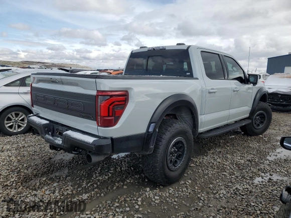 2024 Ford F-150 Raptor with VIN 1FTFW1RGXRFB06240, listed as a Copart auction lot 48020095 with Not Provided miles and Salvage Title. Bid and sale history available at DreamBid. Image 3.