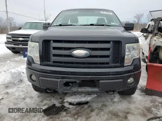 2009 Ford F-150 STX with VIN 1FTRF04W49KB36525, listed as a Copart auction lot 47117575 with 106,291 mi miles and Salvage title. Bid and sale history available at DreamBid. Image 5.