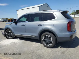 2024 Kia Telluride S with VIN 5XYP6DGC7RG491176, listed as a Copart auction lot 57329605 with 19,287 mi miles and Salvage title. Bid and sale history available at DreamBid. Image 2.