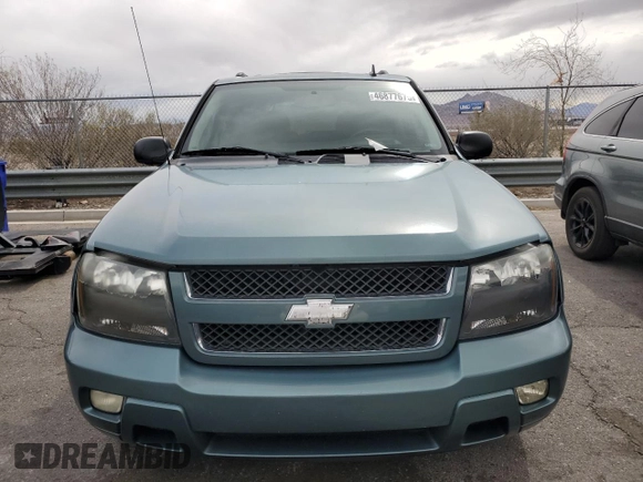 2009 Chevrolet TrailBlazer 1LT with VIN 1GNDS33S092130458, listed as a Copart auction lot 46877675 with 113,885 mi miles and Salvage Title. Bid and sale history available at DreamBid. Image 5.