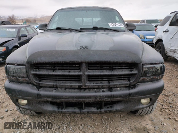 2000 Dodge Dakota Sport with VIN 1B7GG2AN1YS698330, listed as a Copart auction lot 43541235 with 160,505 mi miles and Salvage Title. Bid and sale history available at carsss.com. Image 5.