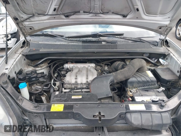2005 Hyundai Tucson GLS с VIN KM8JN12D35U065352, выставлен на аукционе IAAI как лот 42303445 с пробегом 236 597 миль миль и . История ставок и продаж доступна на DreamBid. Изображение 10.