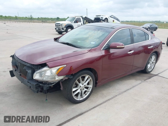 2009 Nissan Maxima SV with VIN 1N4AA51E89C841882, listed as a IAAI auction lot 42146151 with 132,425 mi miles and . Bid and sale history available at DreamBid. Image 2.