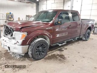 2009 Ford F-150 XL with VIN 1FTPW14V19FA15416, listed as a IAAI auction lot 41203618 with 135,758 mi miles. Bid and sale history available at carsss.com. Image 17.